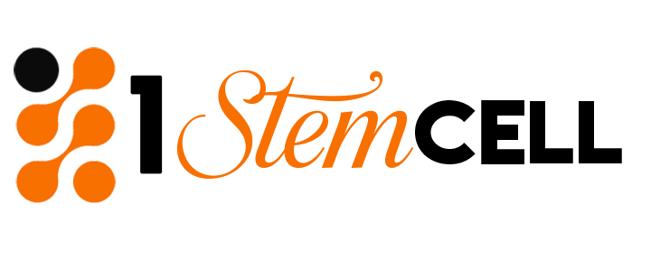 logo 7 1